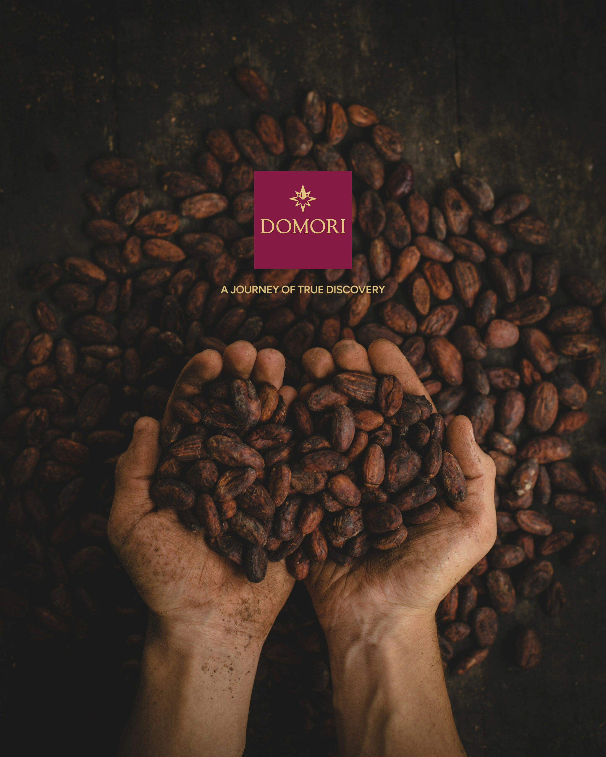 Domori Professional Open Day